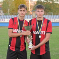Slika